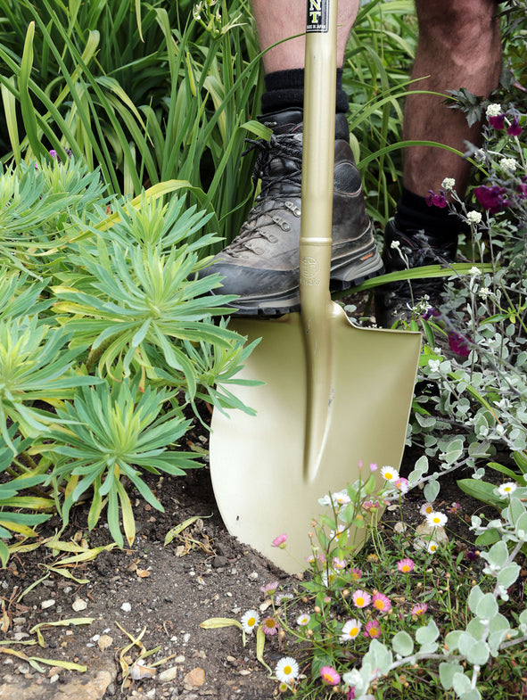 Niwaki Golden Spade